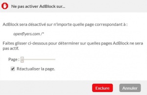 AdBlockChoixExclusion.jpg